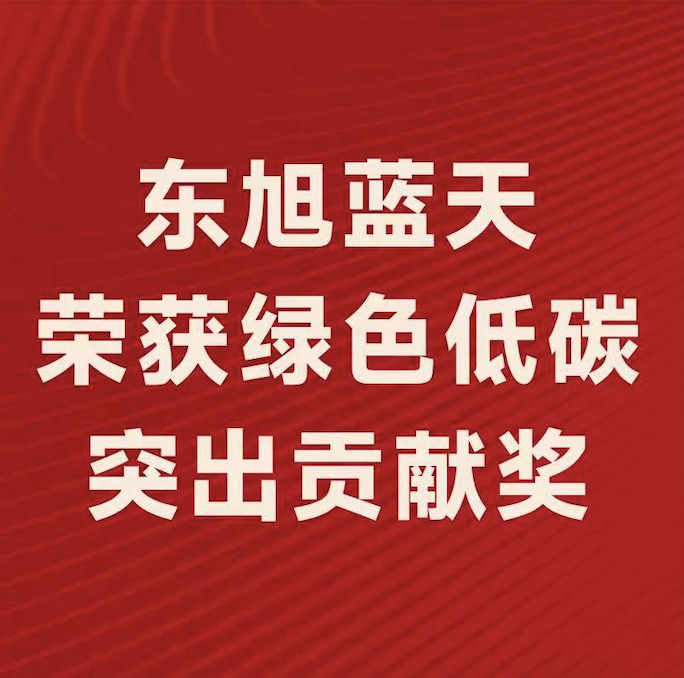 喜报〡东旭蓝天斩获“2022年度绿色低碳突出贡献奖”